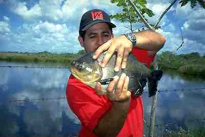 Orinoco delta Warao